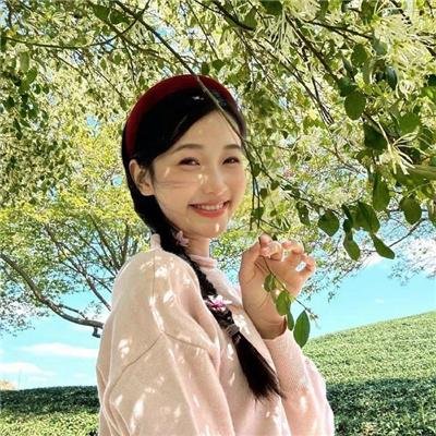 宠物情缘粤语
